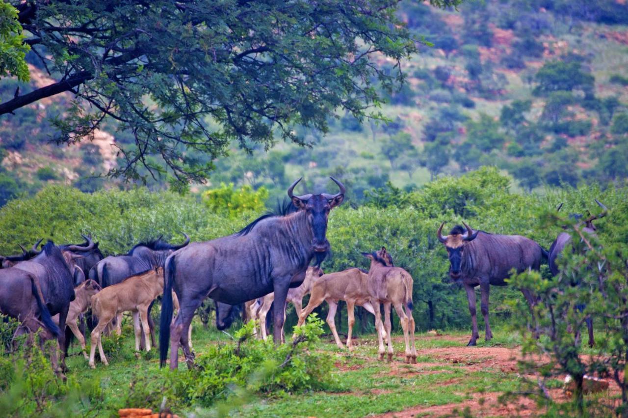Kedar Heritage Lodge, Conference Centre & Spa Phokeng Luaran gambar