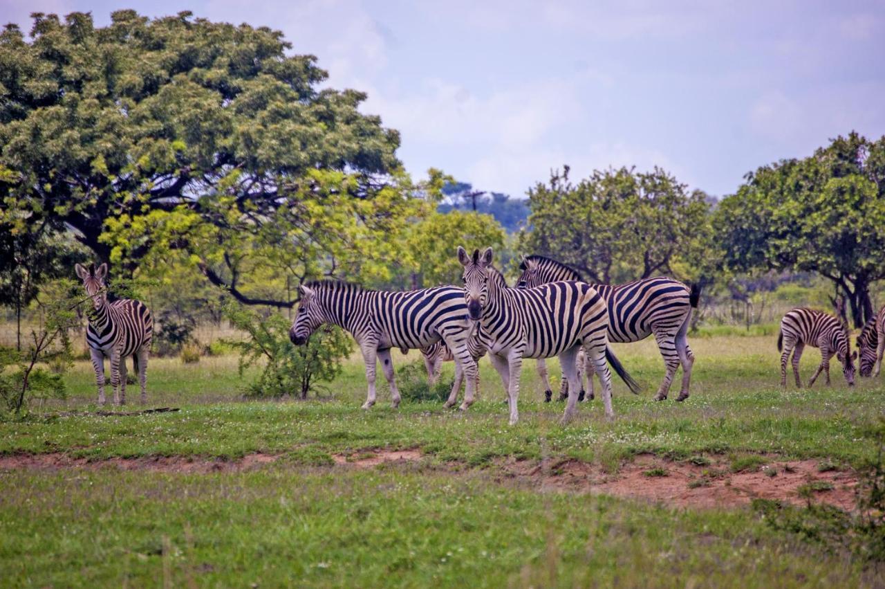 Kedar Heritage Lodge, Conference Centre & Spa Phokeng Luaran gambar
