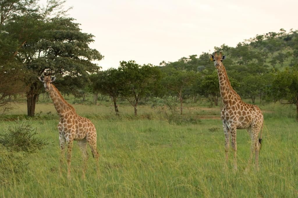 Kedar Heritage Lodge, Conference Centre & Spa Phokeng Luaran gambar
